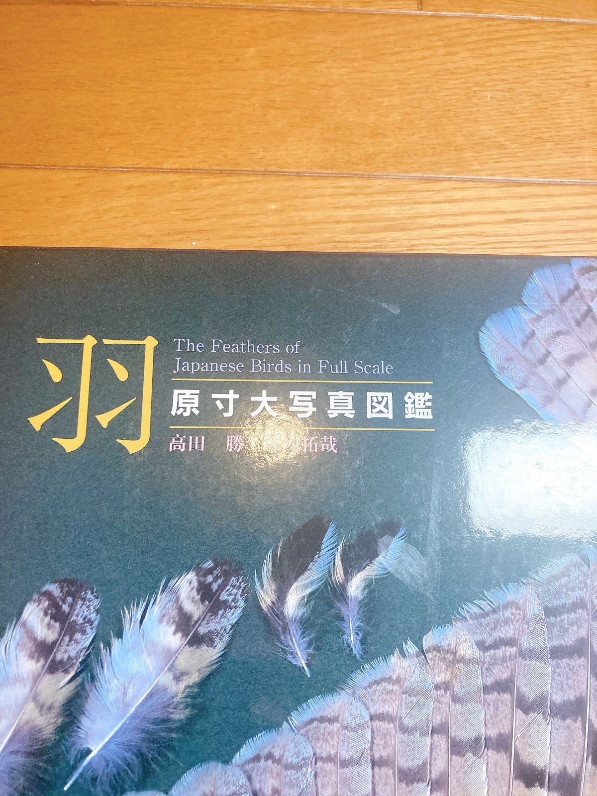 羽 原寸大写真図鑑 叶内 拓哉 高田 勝