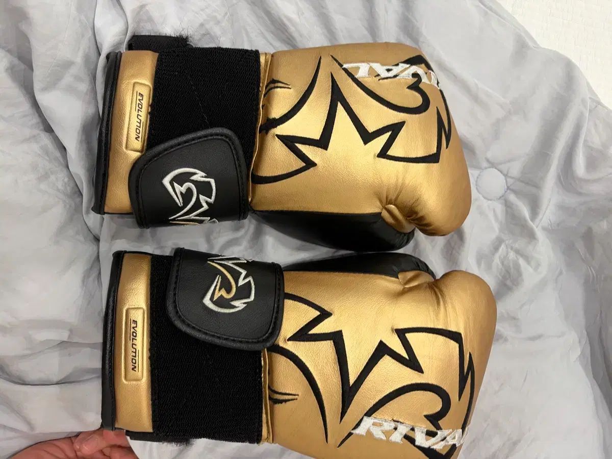 ライバル グローブ 口座振込時 2万 마