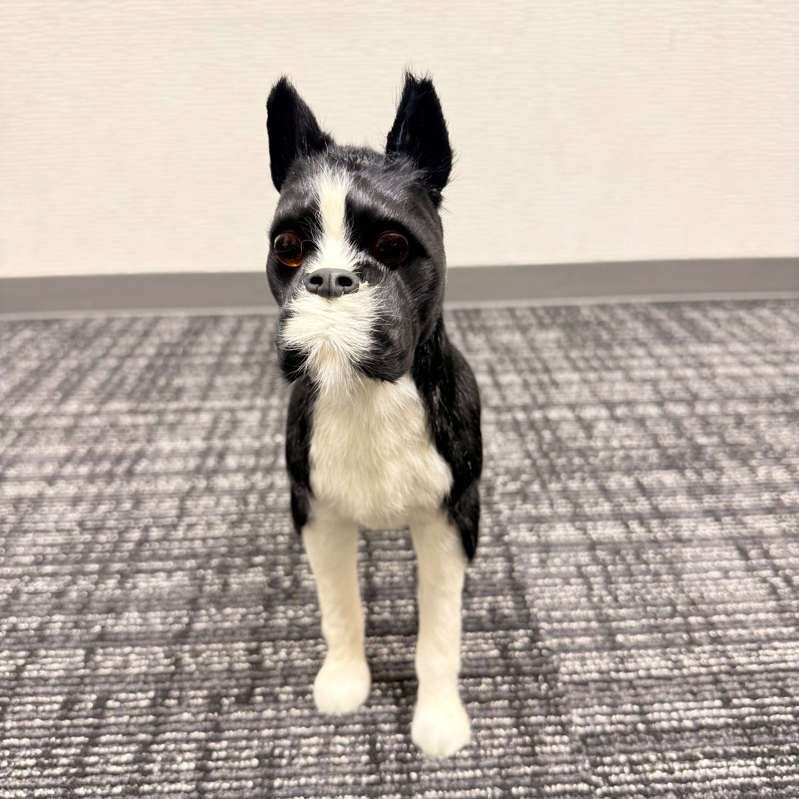 ボクサー犬 置物 黒と白 ボクサー犬 置物 黒と白