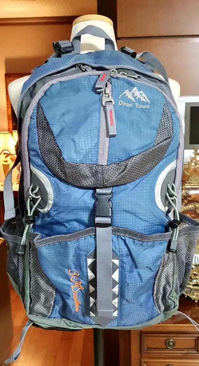 ダウンタウン (DownTown) 30リットル リュック