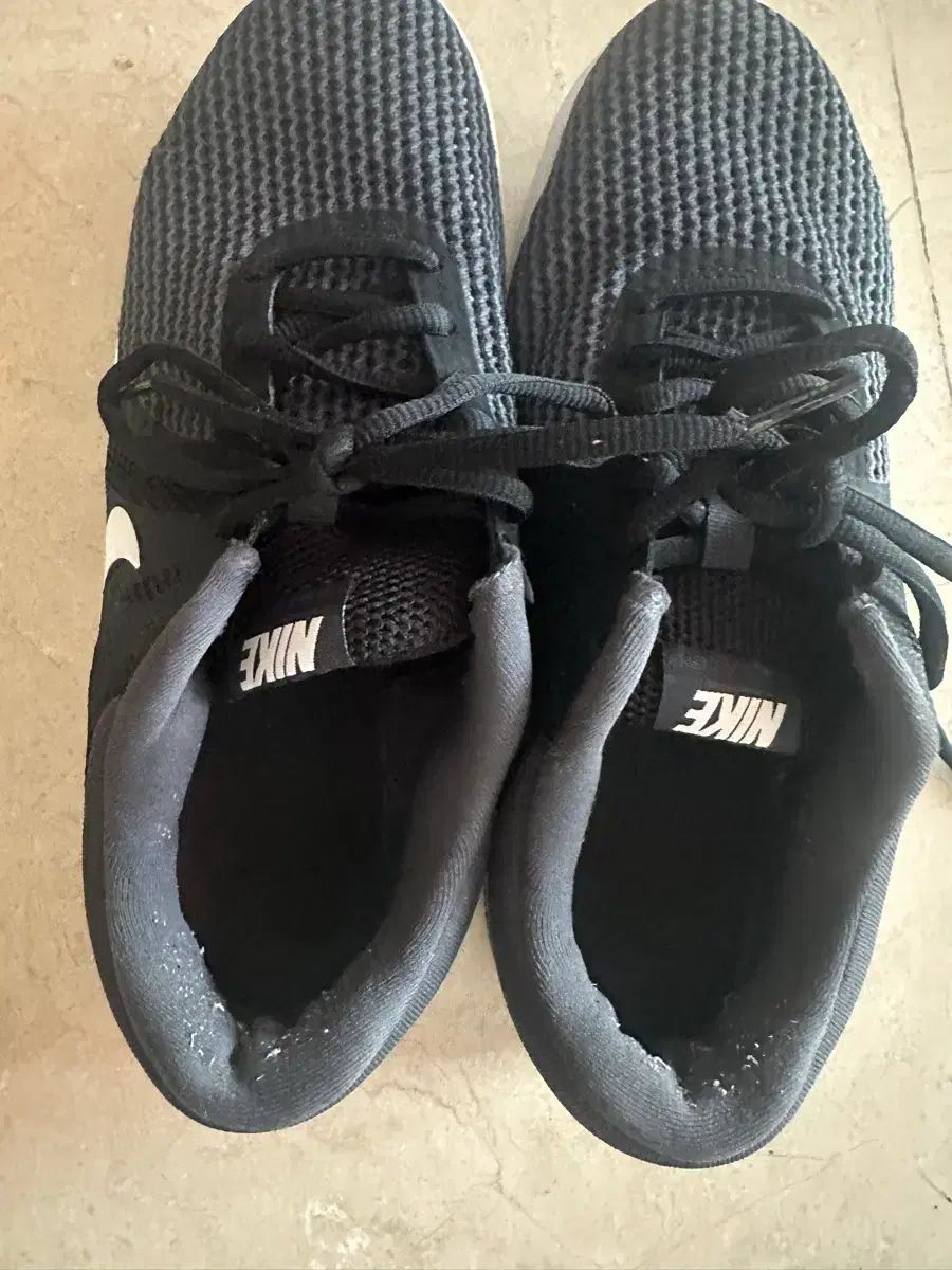 ナイキ ランニングシューズ 260