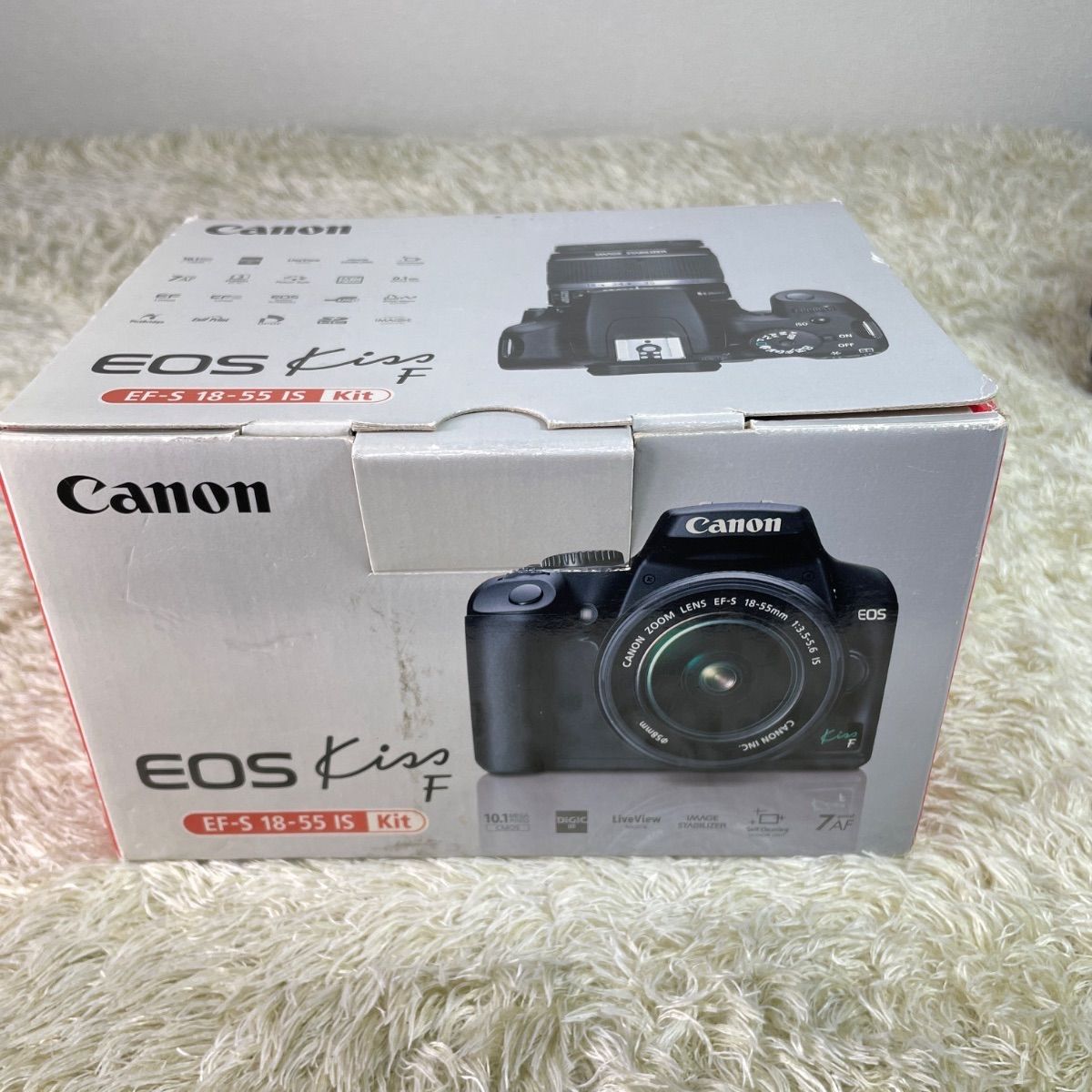 F ズームレンズ付