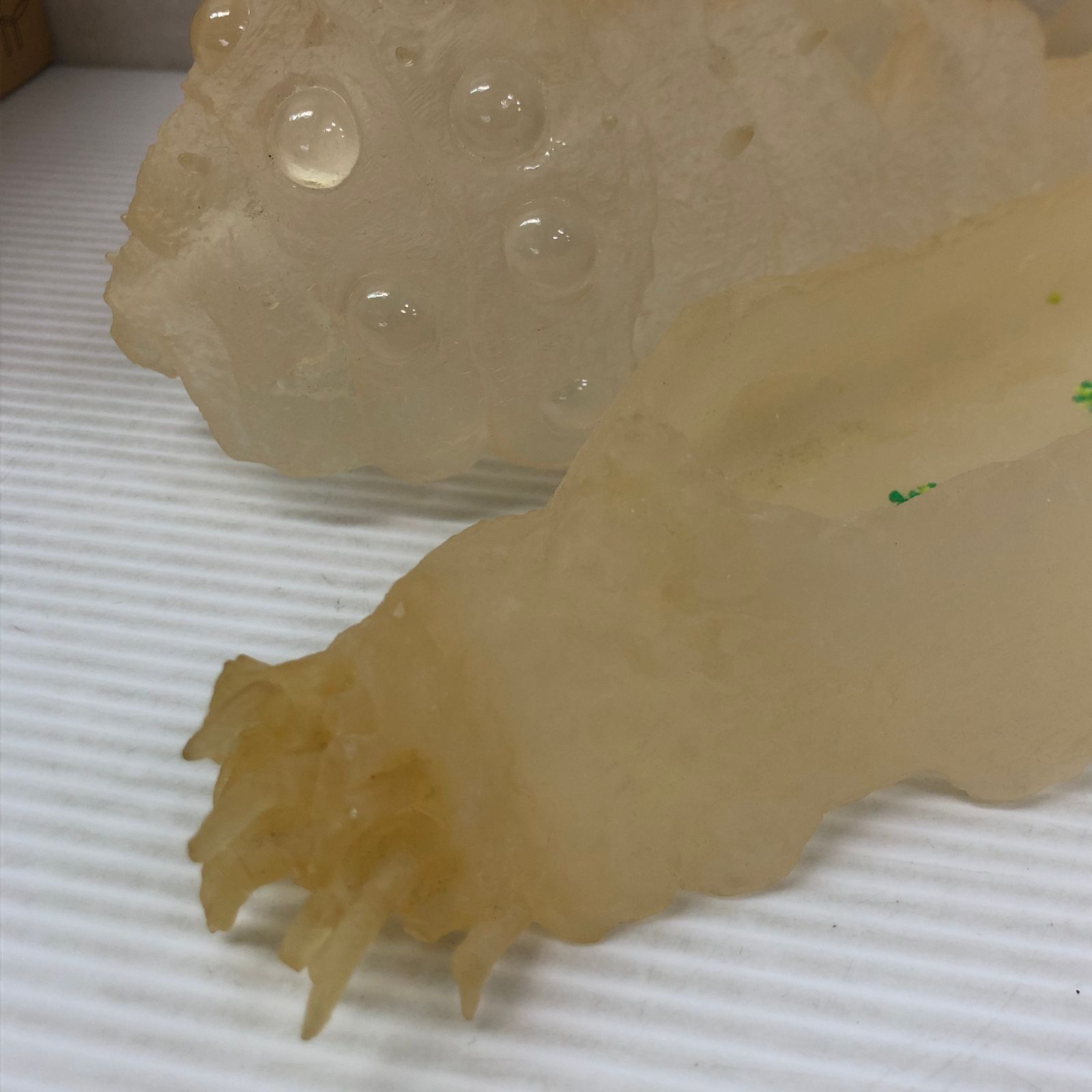 風の谷のナウシカ 王蟲 スプラウト栽培セット オウム抜け殻 ※経年劣化