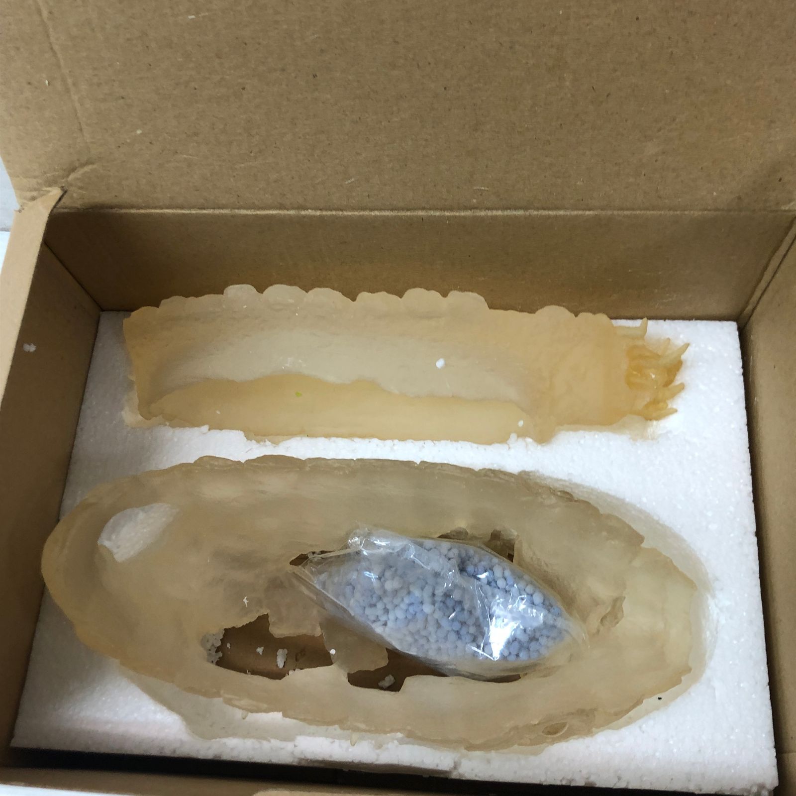 風の谷のナウシカ 王蟲 スプラウト栽培セット オウム抜け殻 ※経年劣化