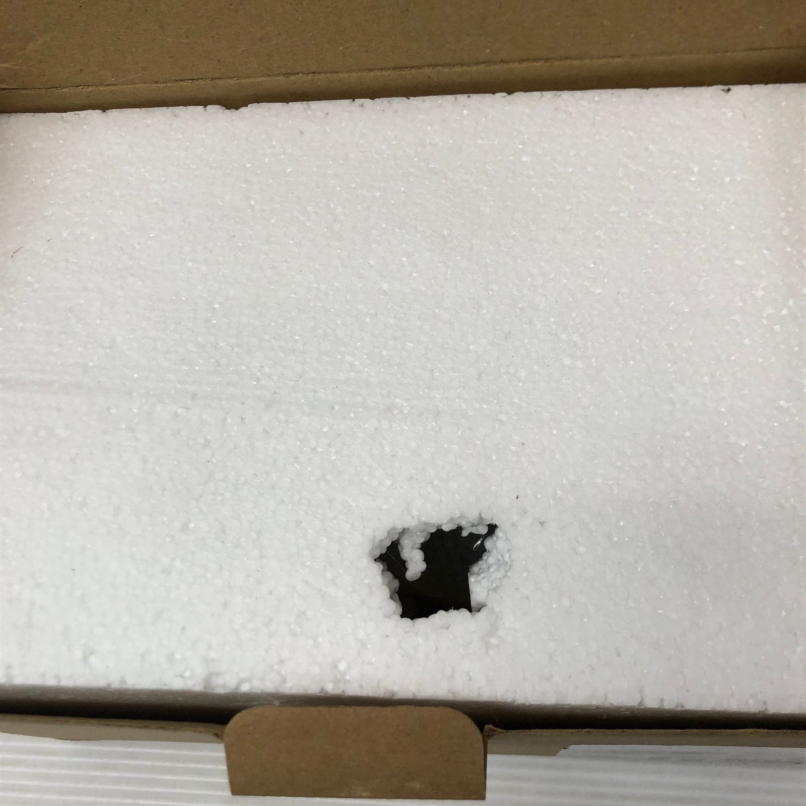 風の谷のナウシカ 王蟲 スプラウト栽培セット オウム抜け殻 ※経年劣化