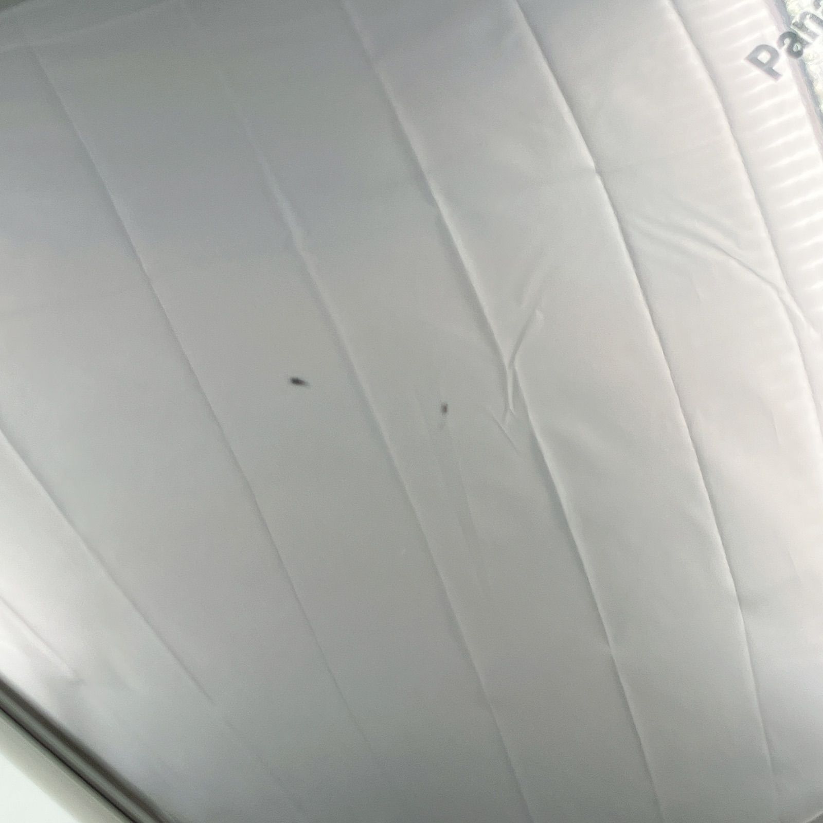 スチーマー EH-XS