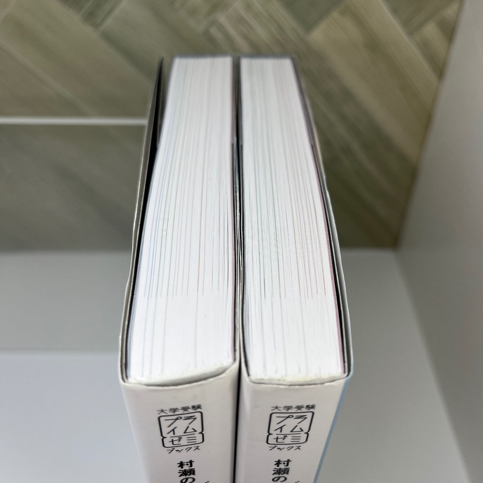 村瀬のゼロからわかる地理B 系統地理編 地誌編 書込み無し