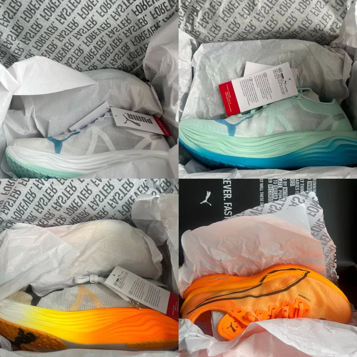 デパート A S プーマ ディビエイト ニトロ エリート 3 ディナエル