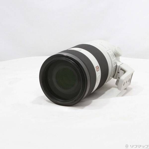 〔 品〕 FE 100-400 mm F 4.5-5.6 GM OSS 262