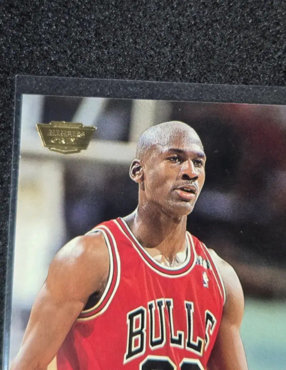 スタジアム クラブ マイケルジョーダン メンバーズオンリー