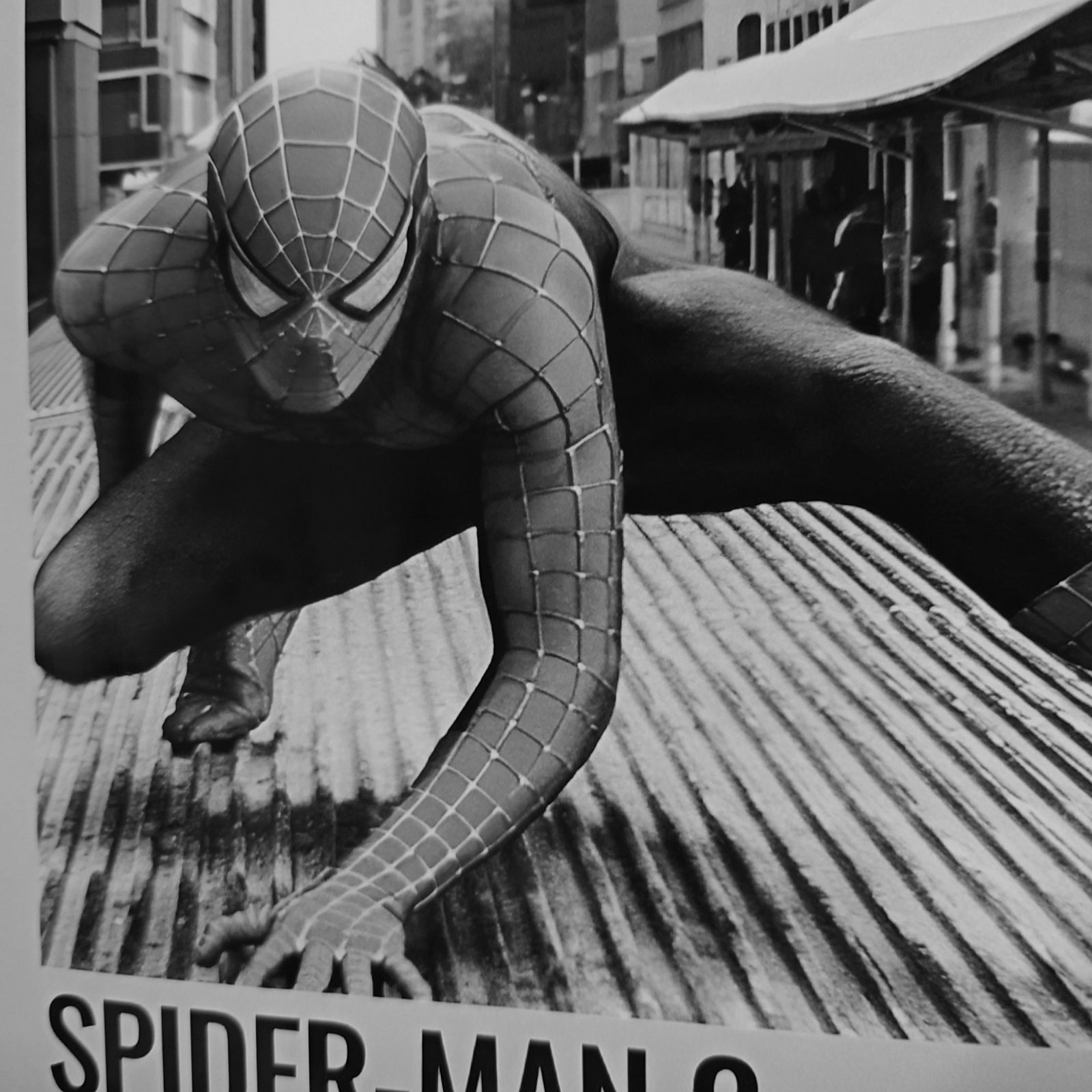 No.377M A4 スパイダーマン ポスター 写真 アート 映画 MARVEL