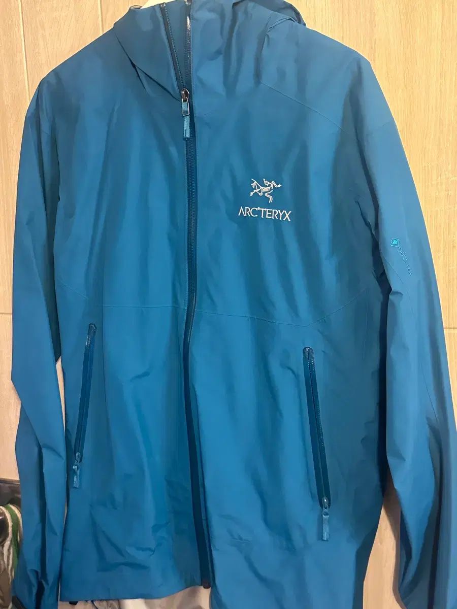 ARC TERYX アークテリクス ZETA SL プレ N ETIK M