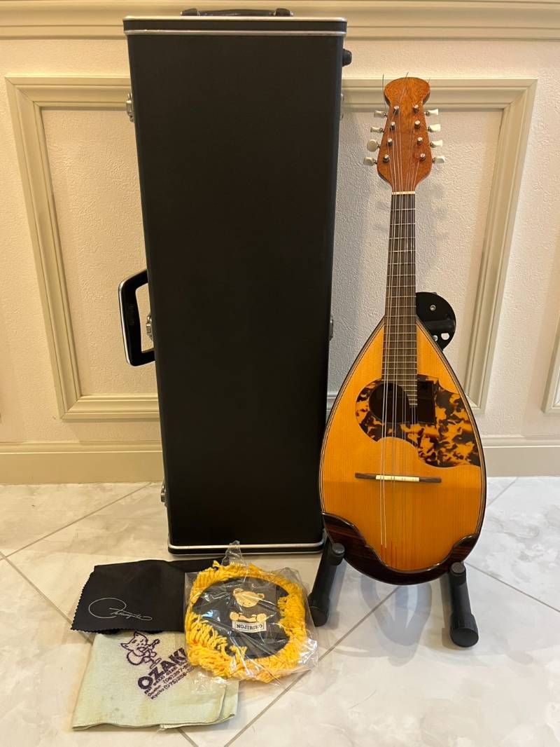 野口實 マンドリン マンドラ 弦楽器 ハードケース付