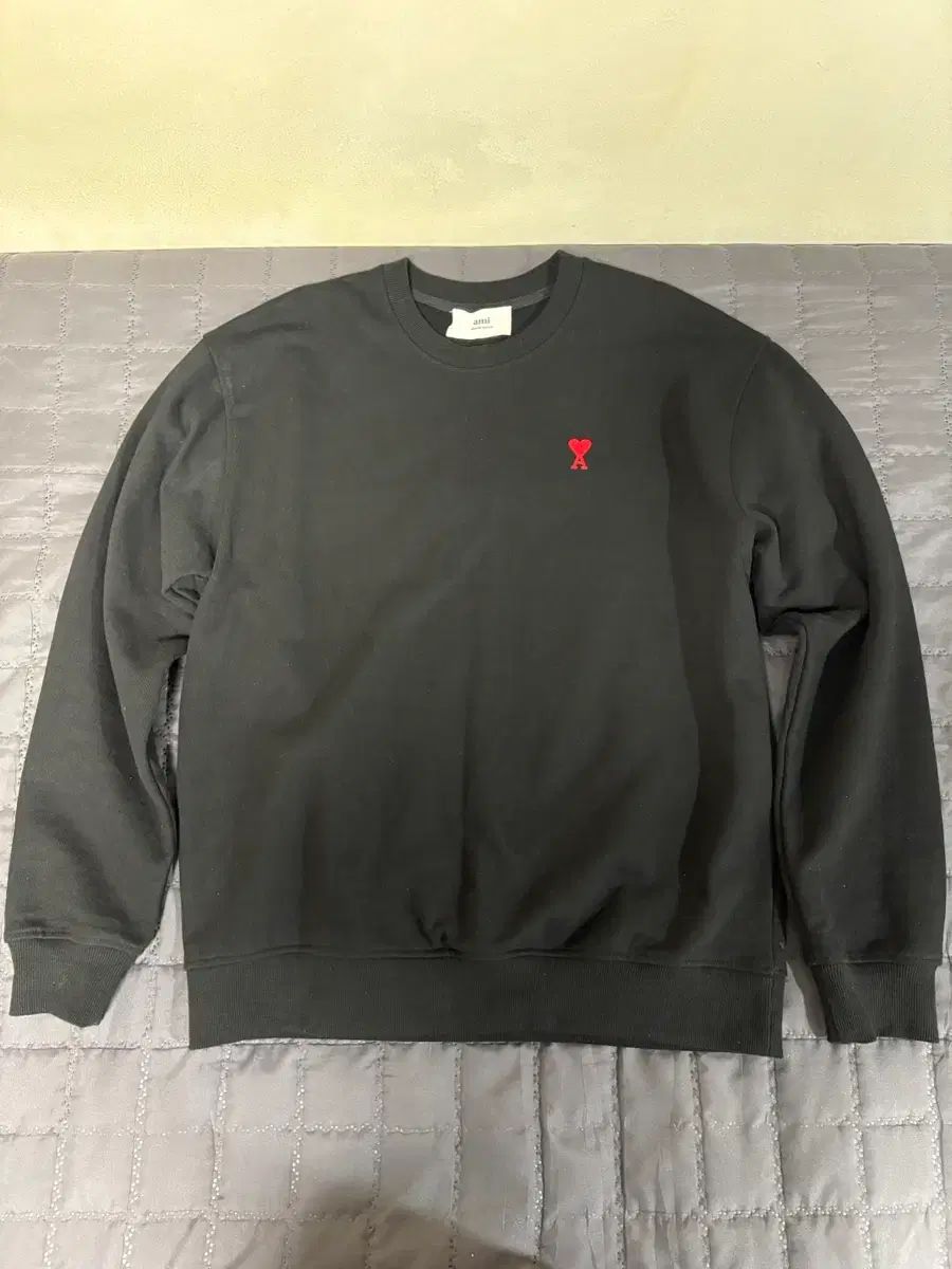 アミ スモール ロゴ スウェット 最新 AMI Alexandre Mattiussi ami