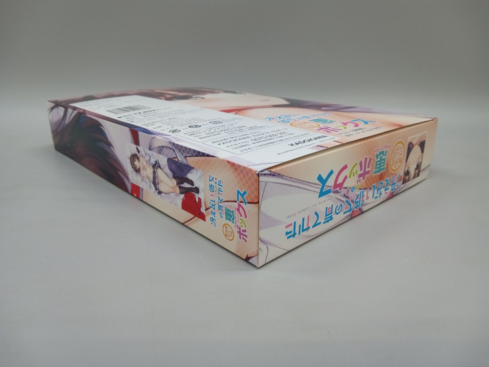 未使用】 冴えない彼女の育てかた 抱き枕カバー付き英梨々ボックス＆恵