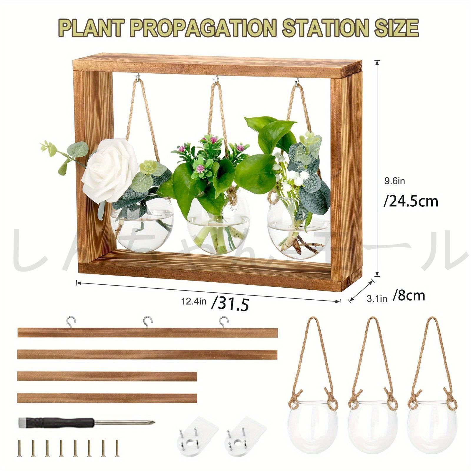 園芸用品 木製花瓶スタンド 水耕栽培 花瓶 卓上花瓶 植物栽培ガラス