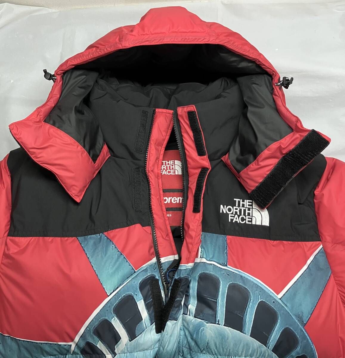 THE NORTH FACE ザノースフェイス Supreme シュプリーム 自由の女神 