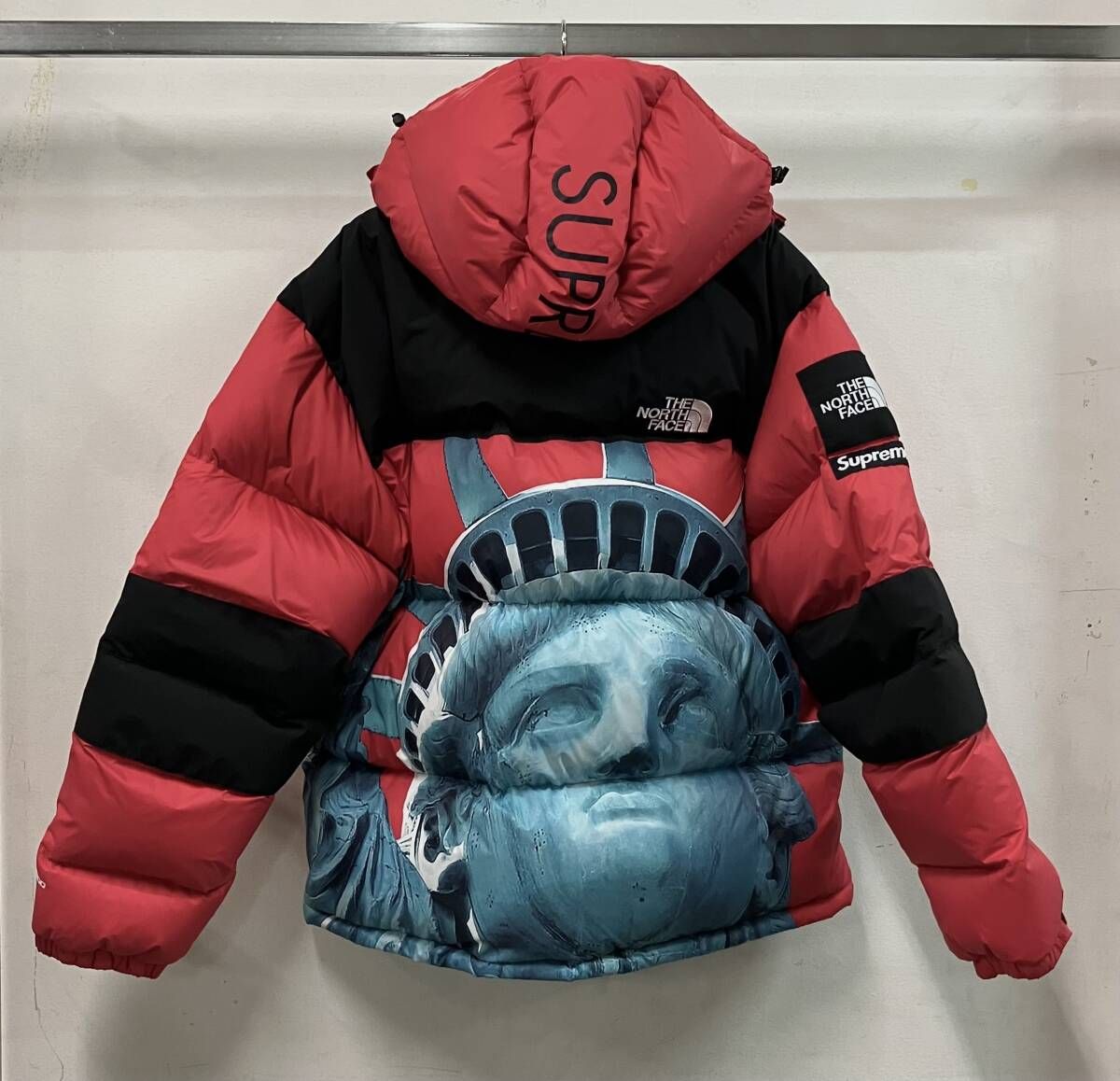 THE NORTH FACE ザノースフェイス Supreme シュプリーム 自由の女神 