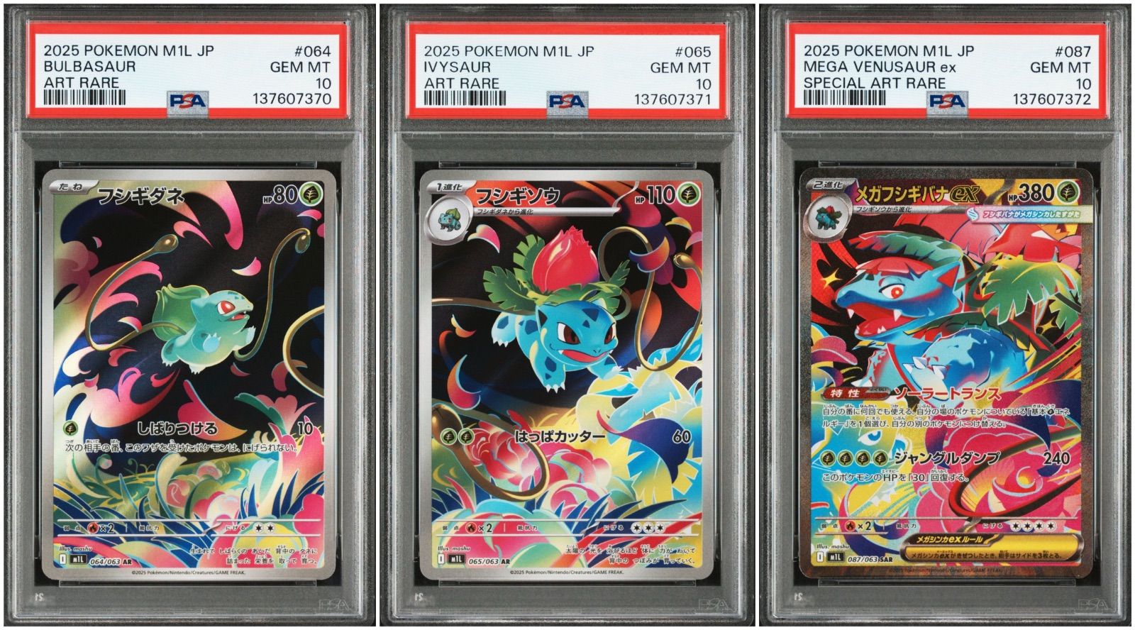 PSA10】 3連番 フシギダネ フシギソウ メガフシギバナex AR SAR メガ