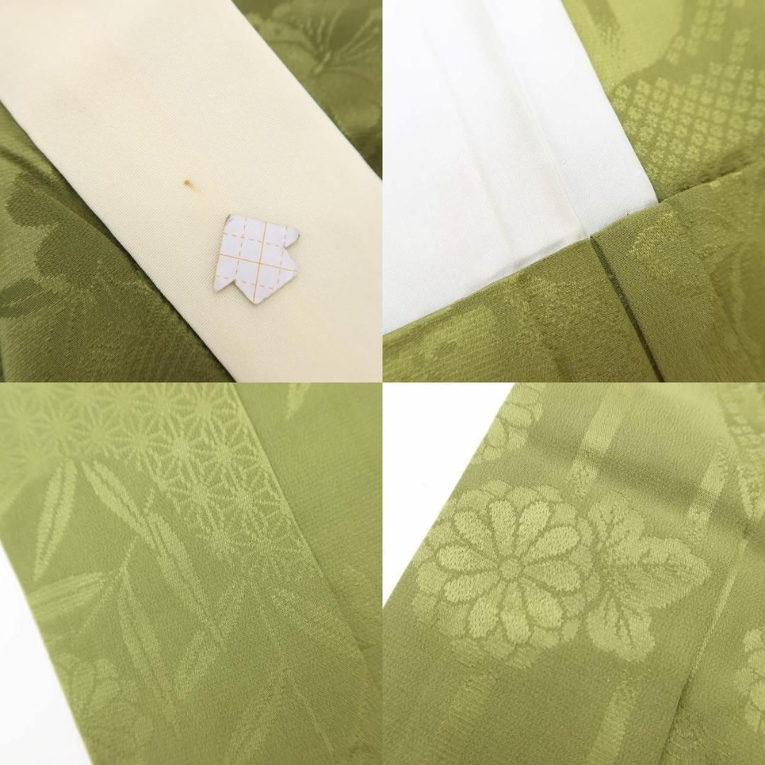 蝶が大集合の竹林