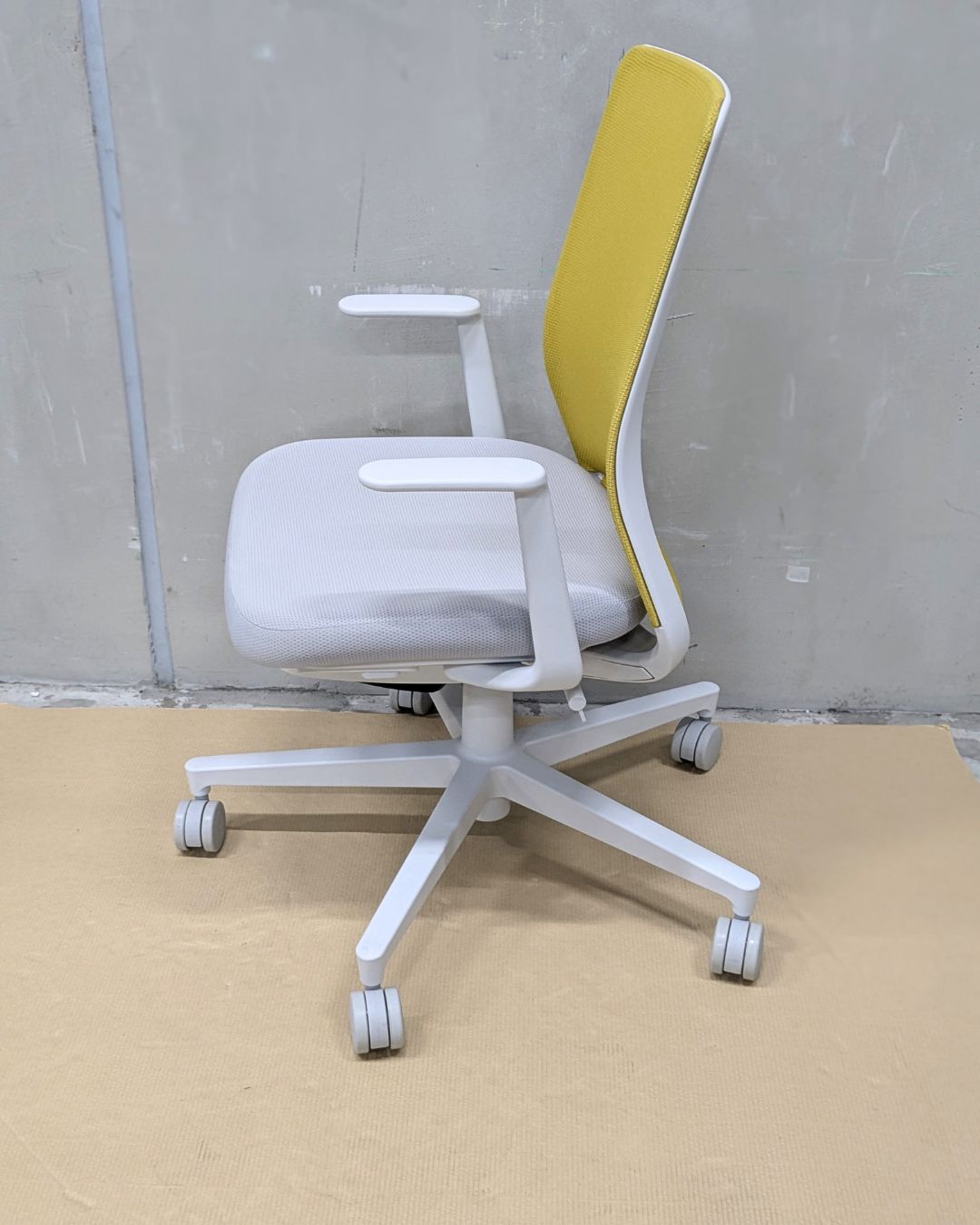 Bランク モネット