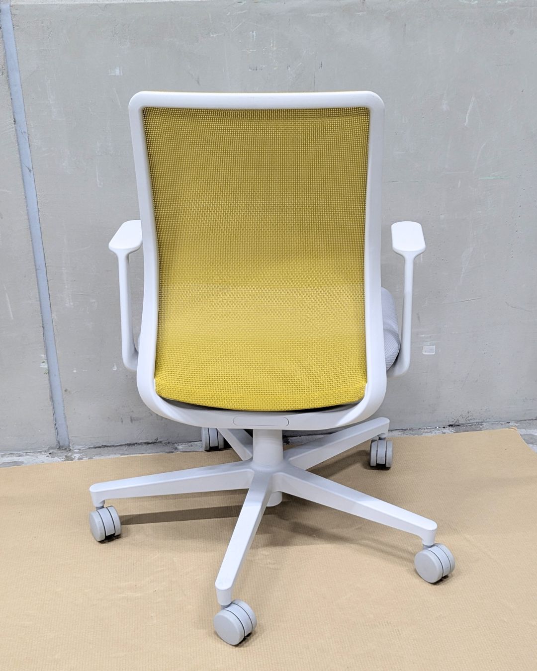 モネット 背メッシュ