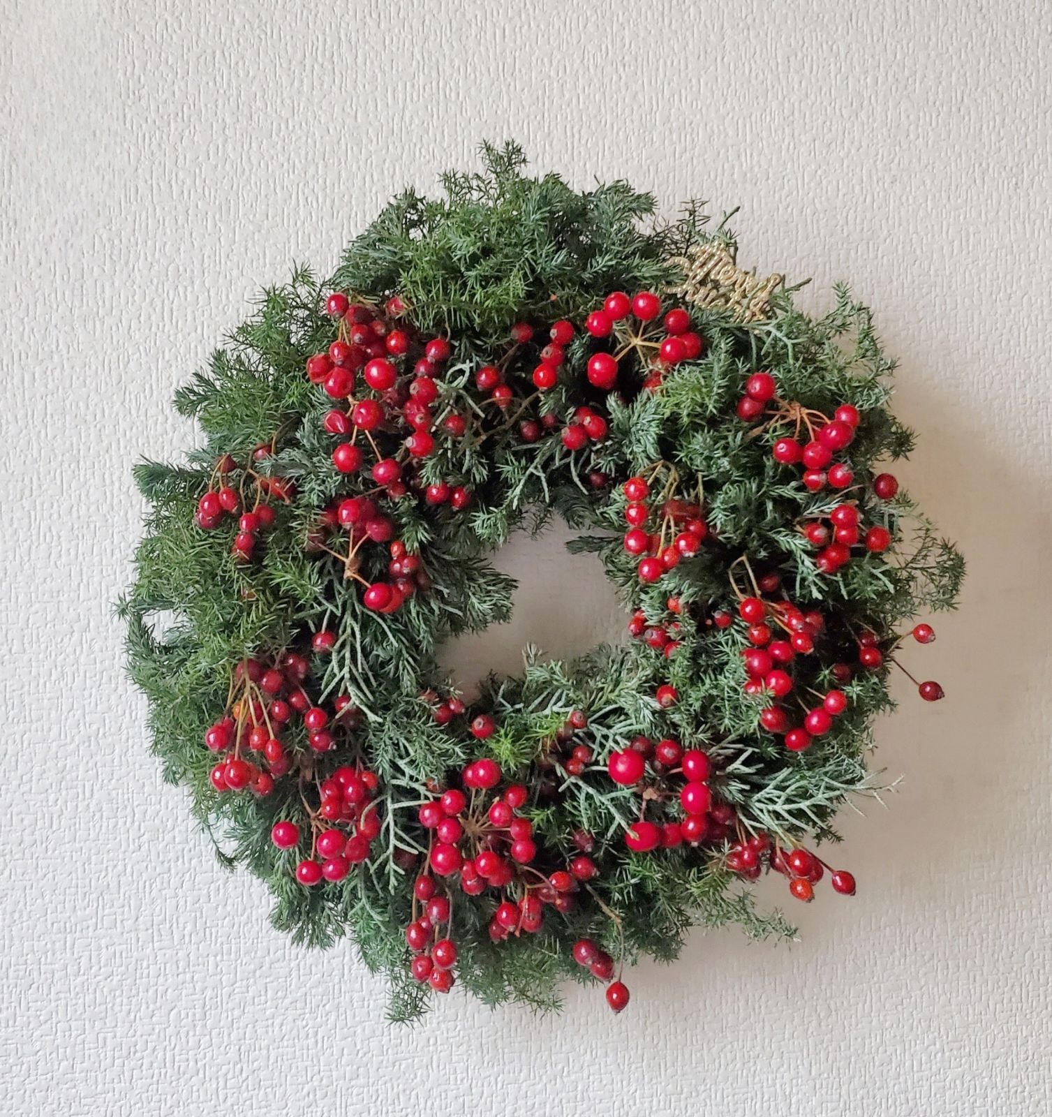 グレビレアと赤いクリスマスリース　サンキライ　野ばらの実　ローゼル Red wreath】サンキライと野バラの実の真っ赤なコニファーリース