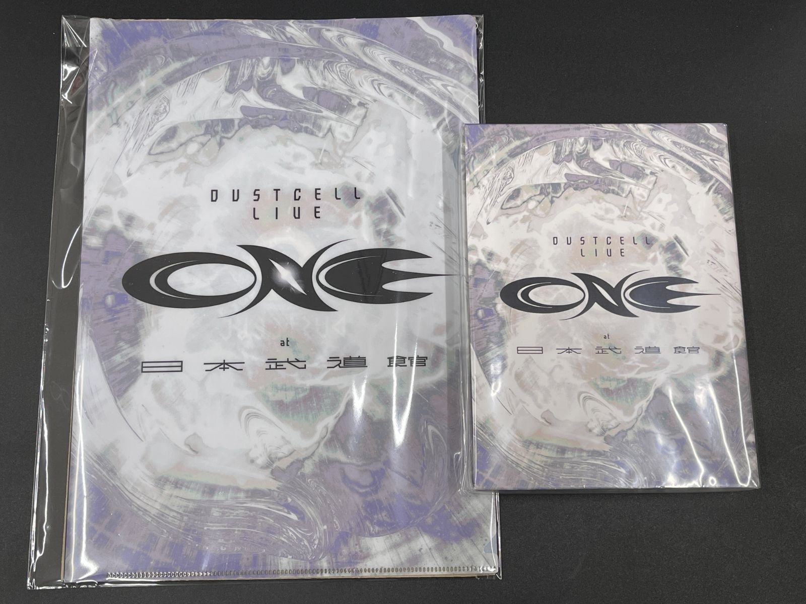 DUSTCELL LIVE ONE at 日本武道館