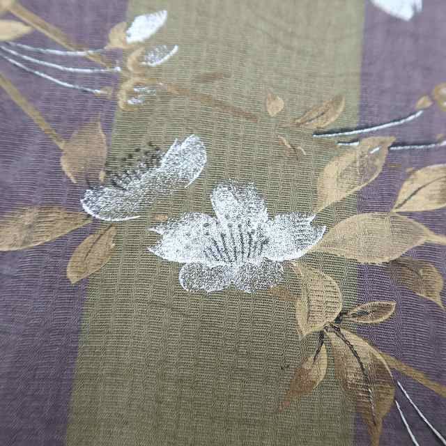 透明感と幻想を花開き 物語の幕開けを告げる桜