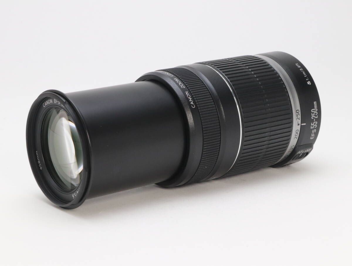 AB Canon キヤノン EF S 55 250 mm F 4 5 6 IS 初期不良 対応 111 224