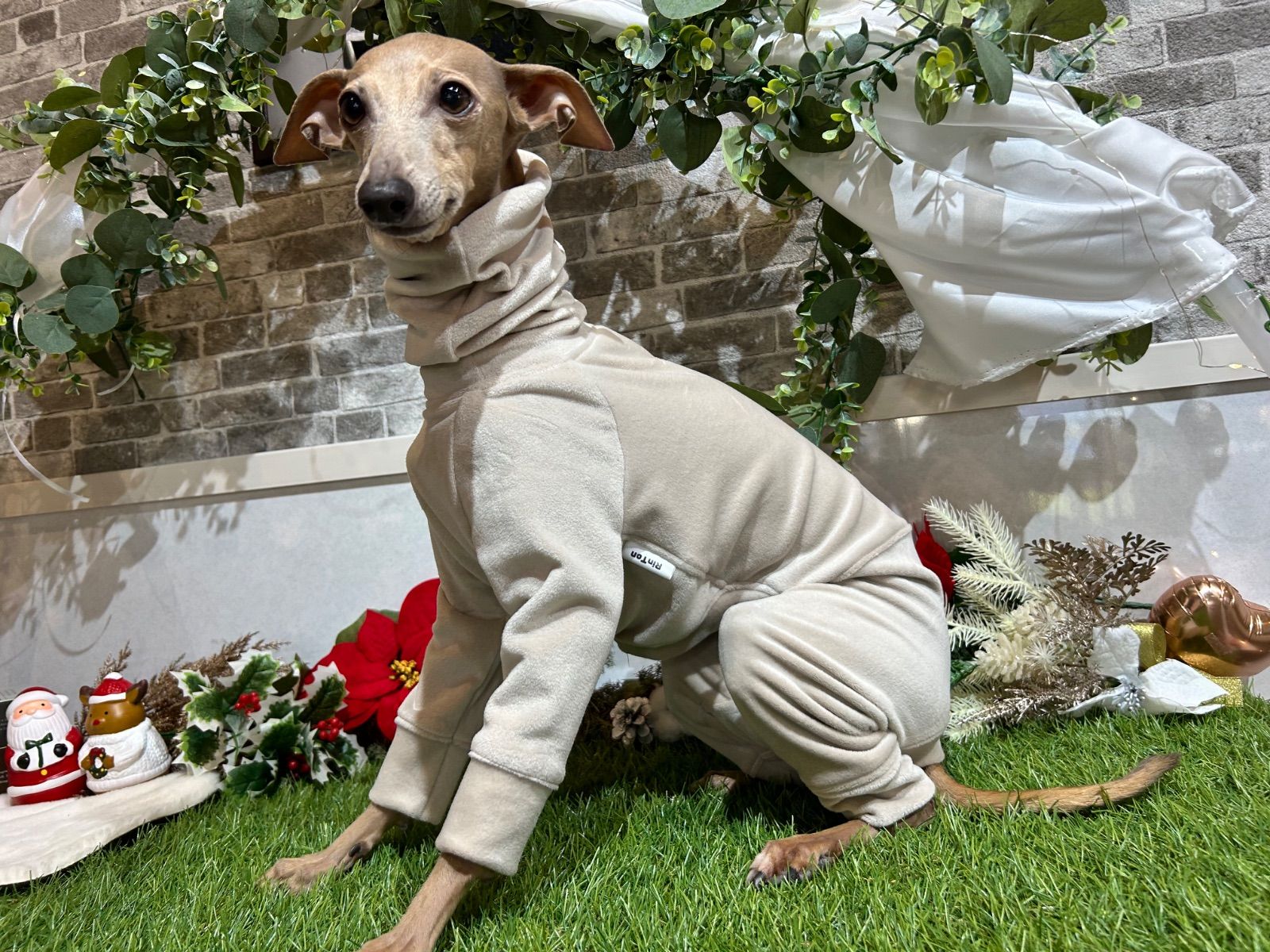 イタグレ服 ロンパース