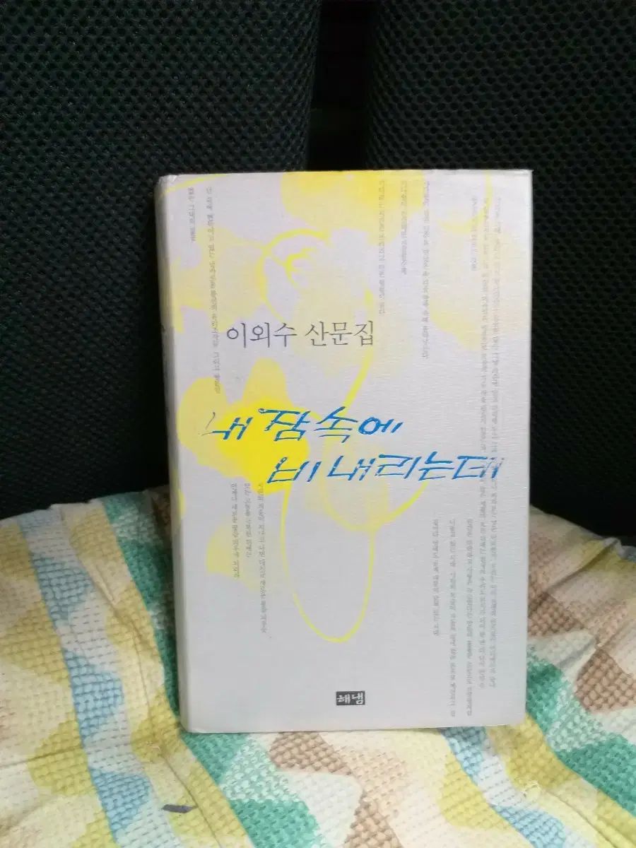 イ・ムーン 外 山 文集：私の夢の中に雨が降っている