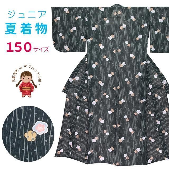 ジュニア 女の子用 夏着物 紗 洗える着物 小紋 子供着物 長襦袢付き 黒系 縦湧に梅