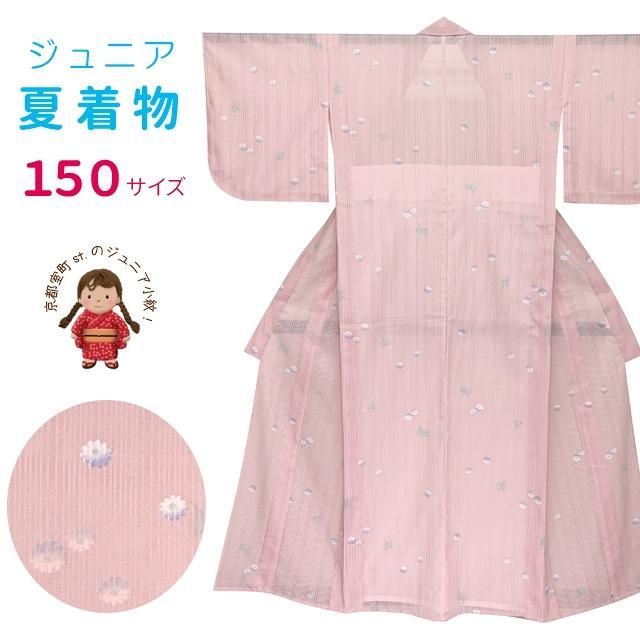 ジュニア 女の子用 夏着物 紗 洗える着物 小紋 子供着物 長襦袢付き 淡ピンク系 菊
