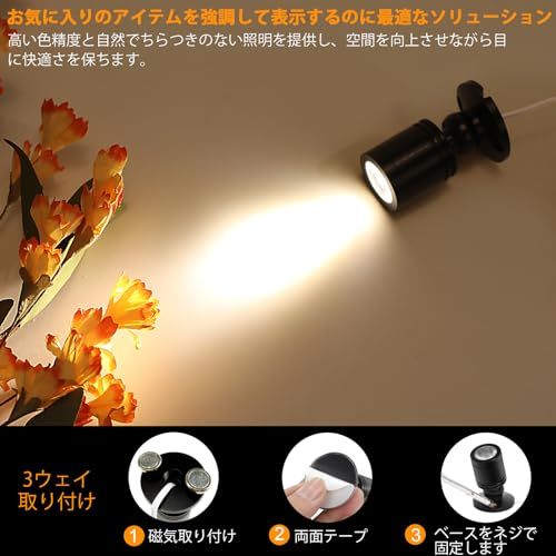 電球色- セット