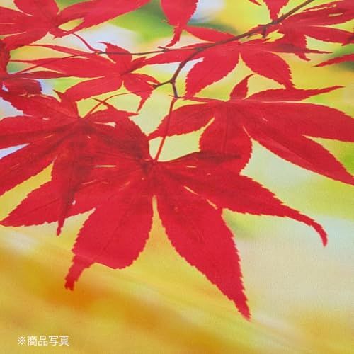 タペストリー 秋 風景 防炎加工 90 180 cm 紅葉 大判 パイプひも付き 店舗装飾 SPACE 21 不可 県 配送不可 23 A 65905 BB 8 eae 59 f 7