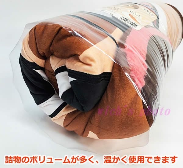 入れるフロアクッション チップ 95cm×95cm キャラクター 中に入れる