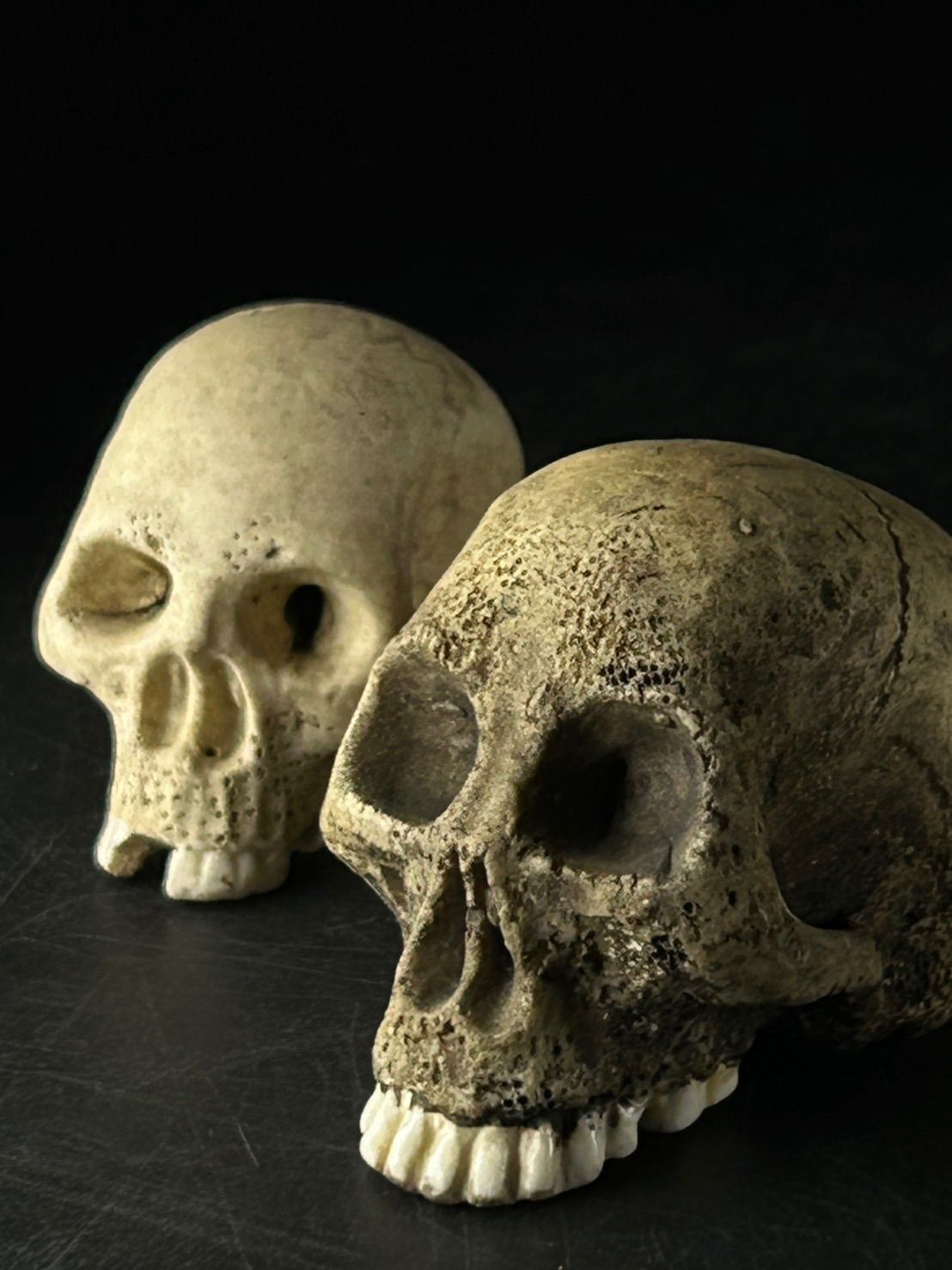  幽玄 骸骨頭 共箱 セット ガイコツ 置物 オブジェ 置物 工芸品