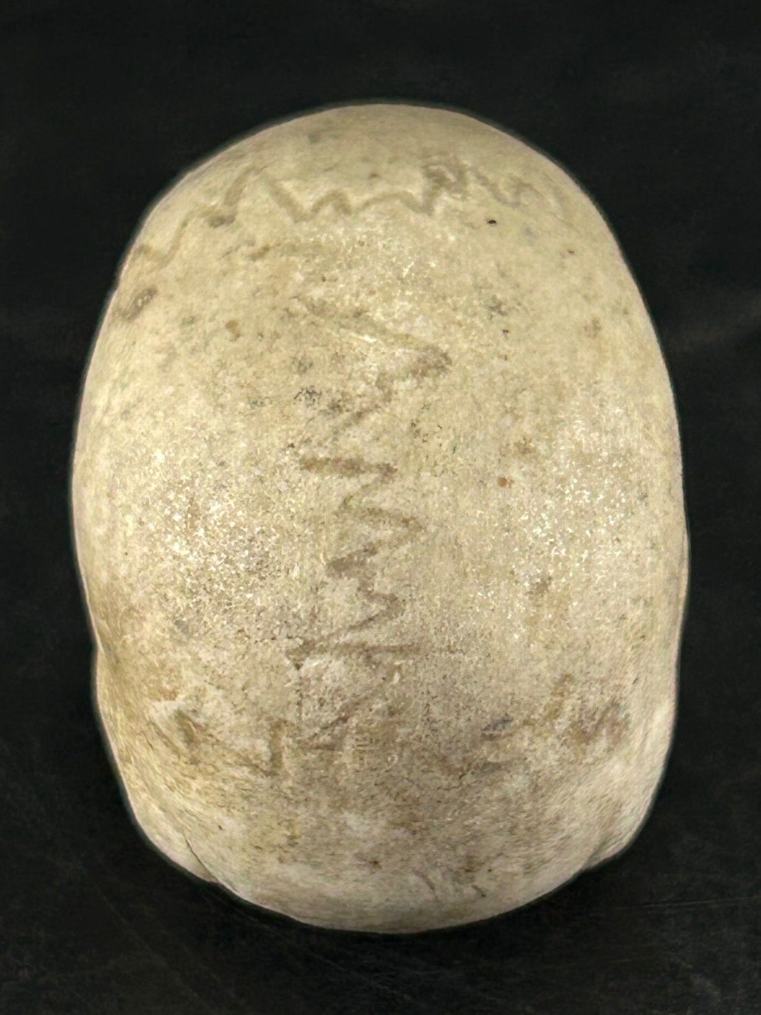 セット ガイコツ