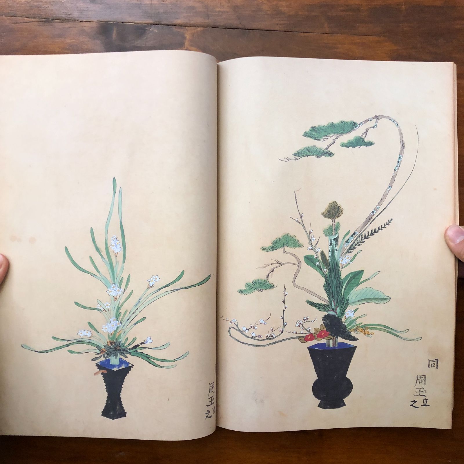 六角堂池坊並門弟立花砂之物図（復刻版） 猪飼三左衛門（編） 寛文13年