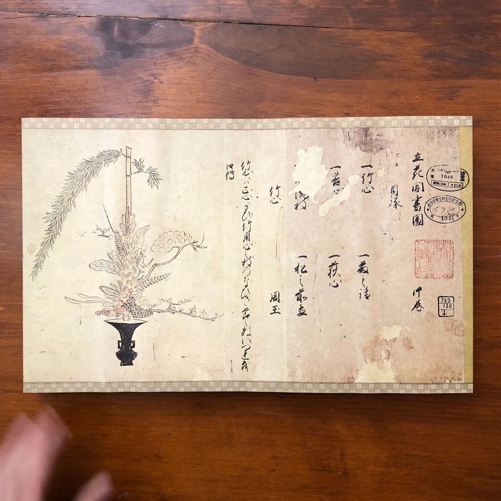 江戸時代 池坊立華名作選集図 不明 池坊学園 図書館 華道文庫蔵版 不明