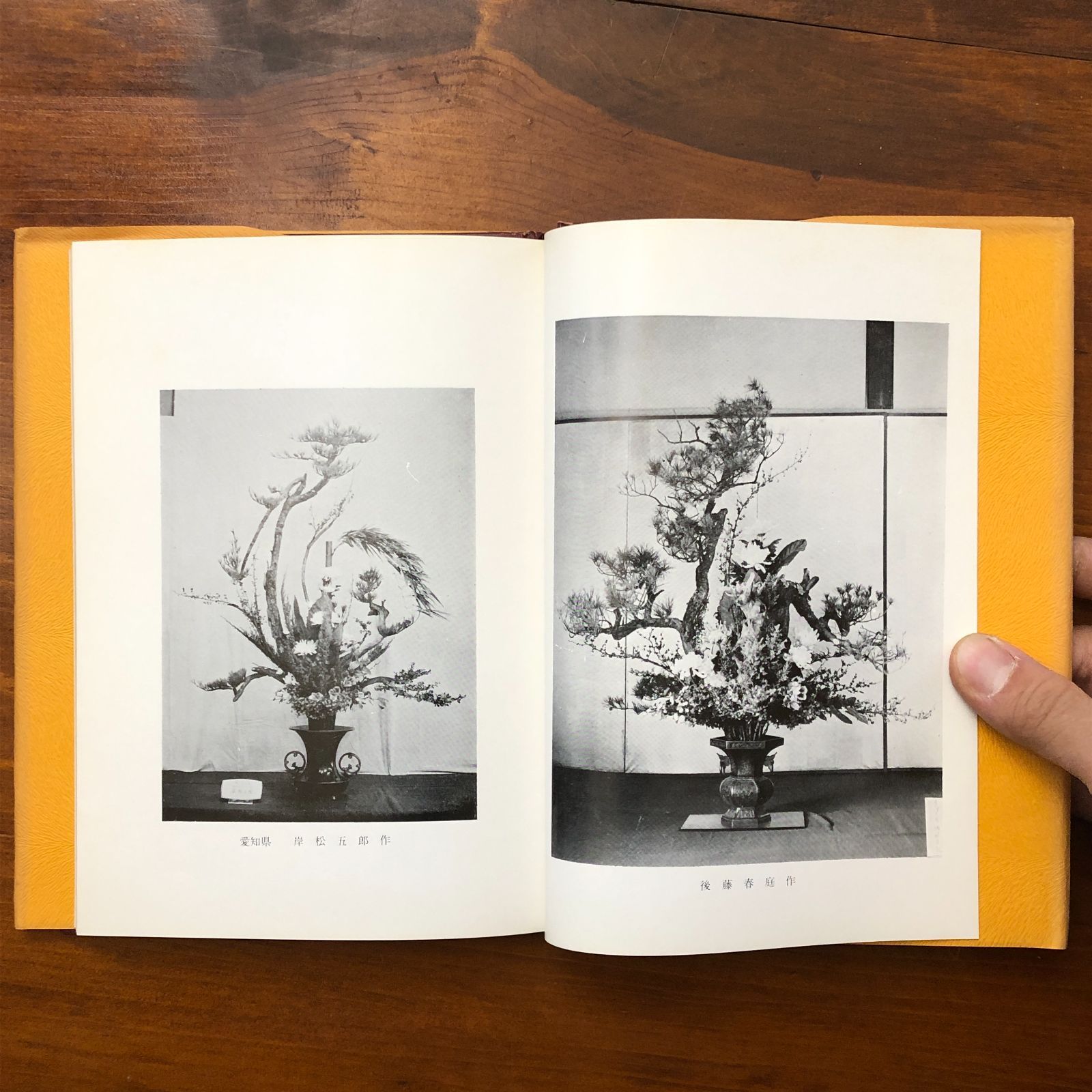 池坊立華の立て方 上下巻揃い 後藤春庭 桐華社 昭和五十四年五月三十一