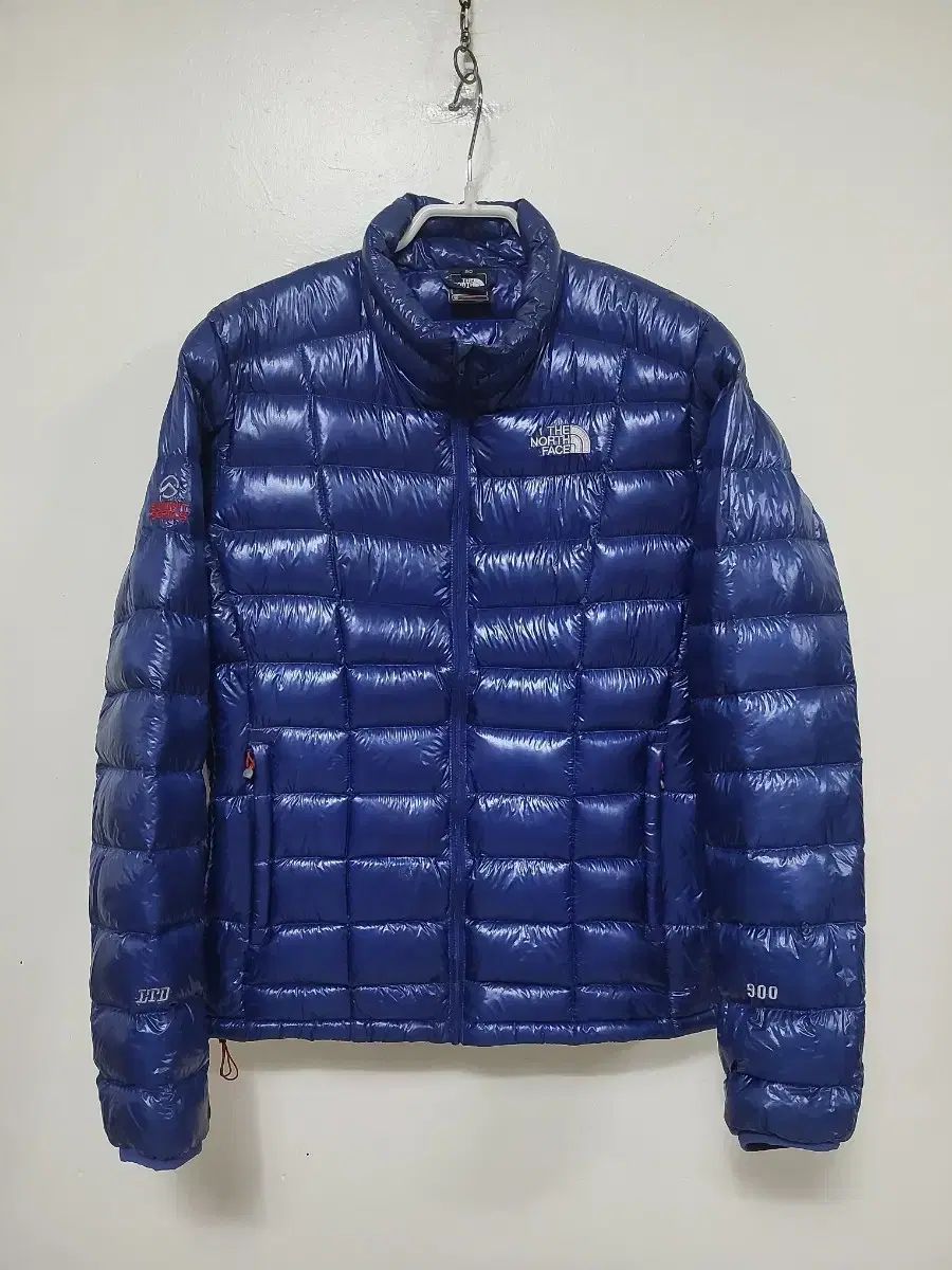 THE NORTH FACE ザノースフェイス 900フィルパワー ダウンジャケット ブルー