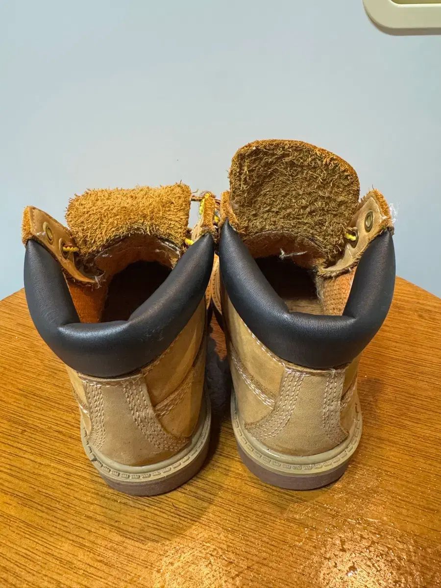 6-Inch - Premium 定番 ティンバーランドキッズ18.5~21.5cm Footwear