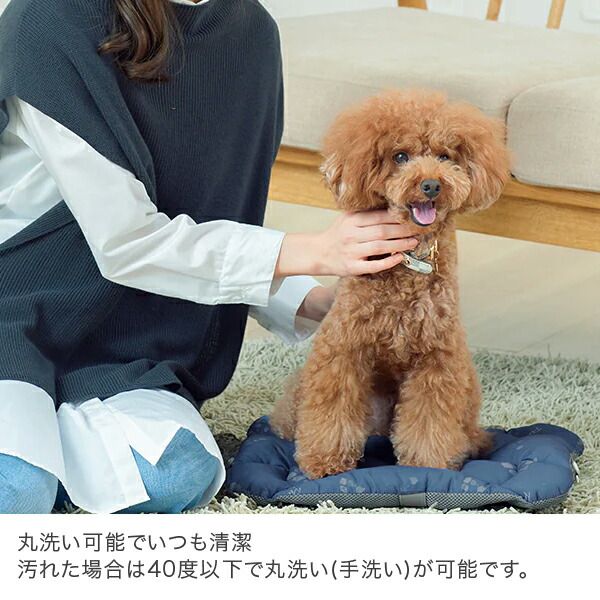 その他 【新品】 ペチコ PETiCO ペチコ専用クッション ICO専用 専用