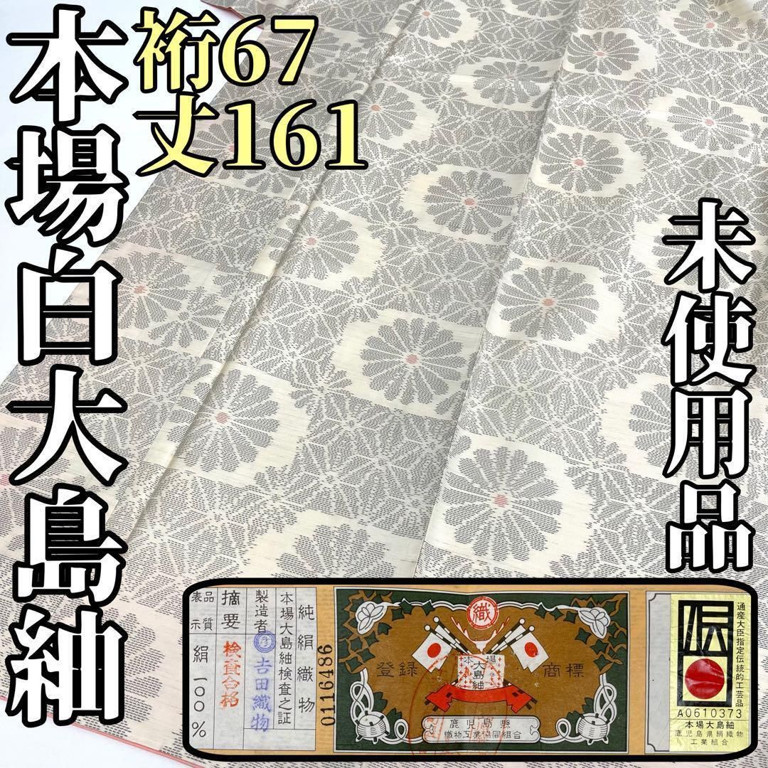 着物と帯 時流 オ25369 ts 本場白大島紬 縦横絣 証紙付
