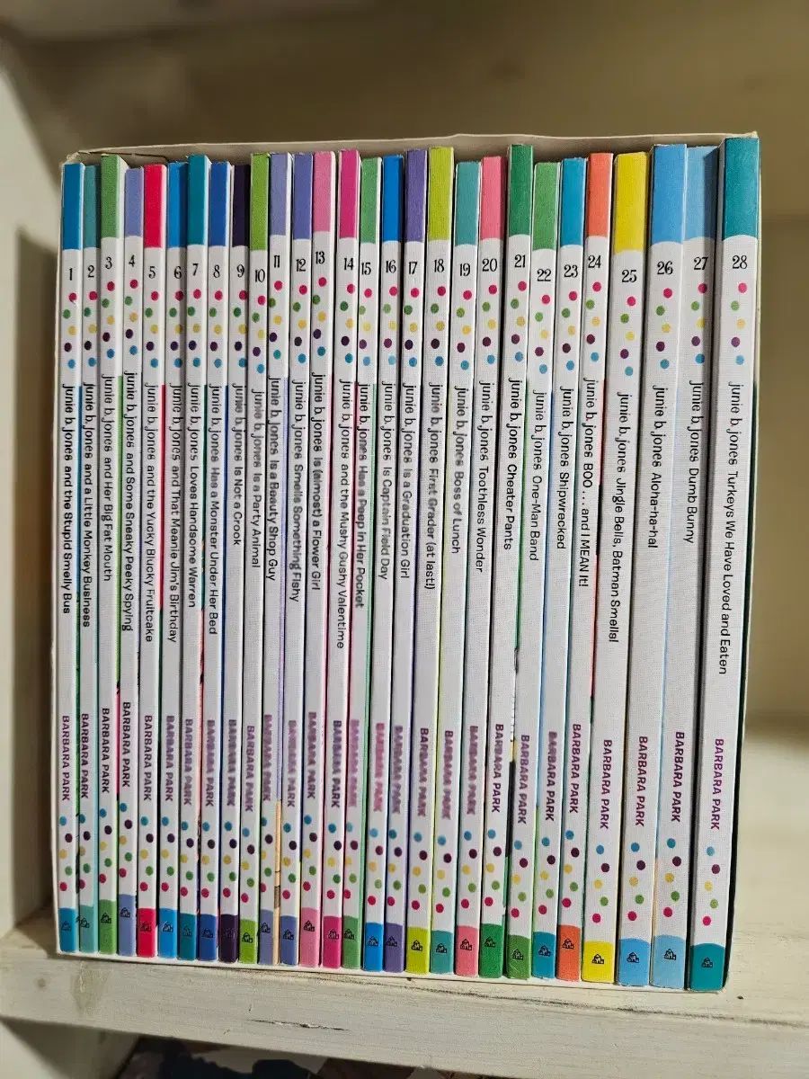お買い得，安い ジョニー・ジョーンズ願書 1-28 文学・小説