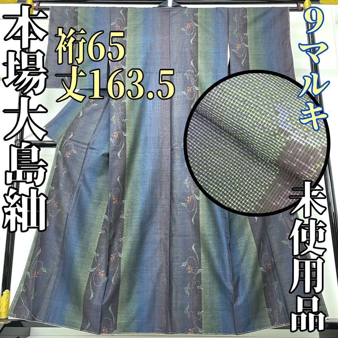 着物と帯 時流 オ24310 ts 本場大島紬 9マルキ 裄65丈163