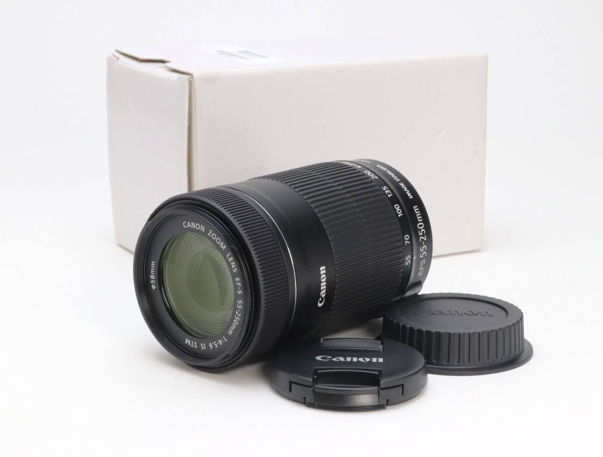 AA 級 Canon キヤノン EF S 55 250 mm F 4 5 6 IS STM 初期不良 対応 111 245