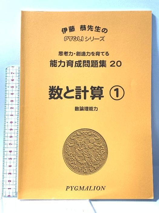 能力育成問題集20 数と計算1 PYGLIシリーズ 能力育成問題集